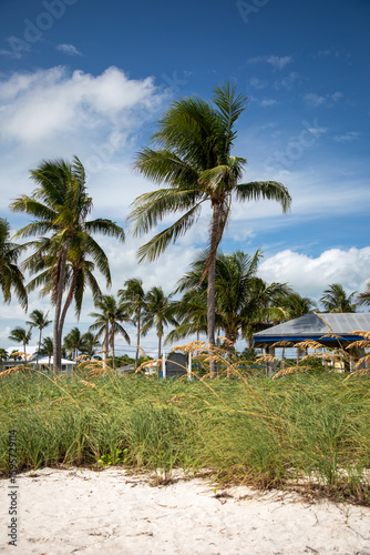 Beach with Palm Trees – Tropical Seaside Landscape