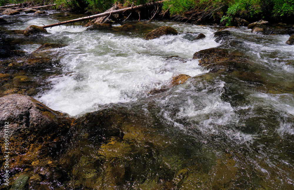 Fototapeta premium Altai mountain river Verkhniy Kulash, the right tributary of the Chulyshman.