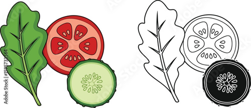 Healthy salad ingredients illustration with tomato cucumber and lettuce for food blog and recipe sites