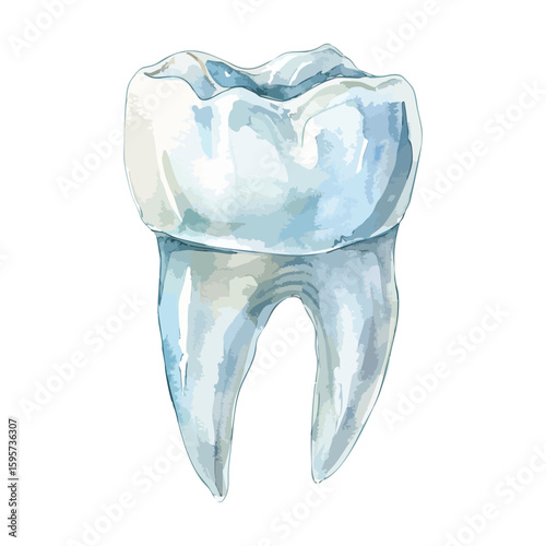 Tooth watercolor illustration isolated