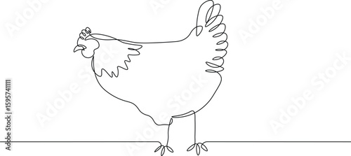 Chicken Animal. Continuous Line Art of Farm Bird and Poultry Illustration