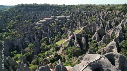 A breathtaking aerial view showcases the unique and jagged limestone pinnacles of the tsingy de bemaraha national park in madagascar, a geological wonder shaped by erosion