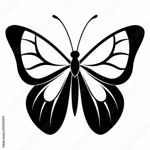Black and white butterfly silhouette insect