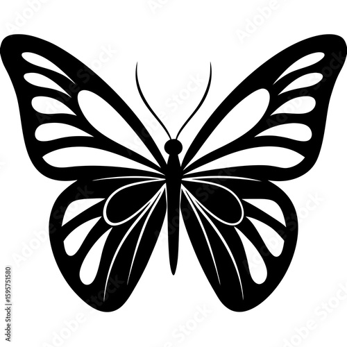 Black butterfly with white wing patterns insect wings