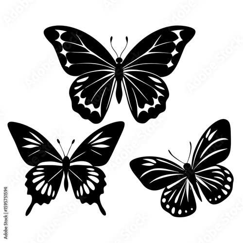 Three black butterfly silhouettes insect nature
