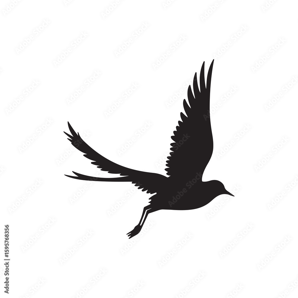 Obraz premium Elegant Silhouette of a Bird in Flight