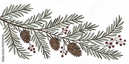 Pine bough with pinecones and berries, festive winter foliage for holiday design, evergreen branch with decorative elements