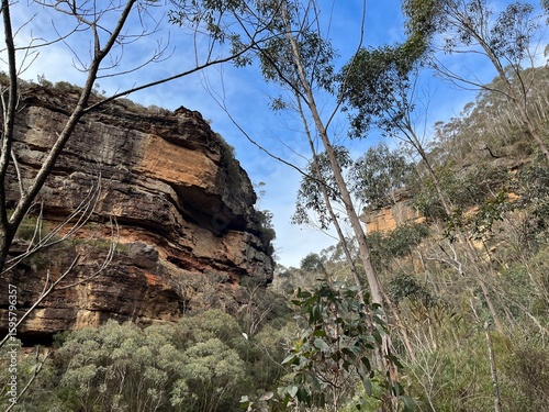 Grand Canyon Walking Track, Blue Mountains, Australia 2025