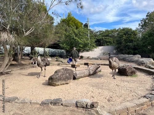 Taronga Zoo in Sydney, Australia 2025