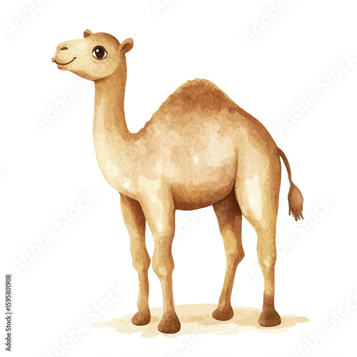 a cute animal of Camel