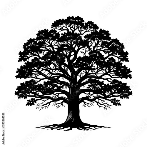 Silhouette tree vector illustration of a large oak tree with roots and branches for graphic design needs