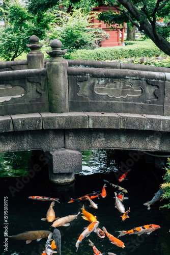 Photography Asakusa Senso-ji Temple garden pond in Tokyo, Japan