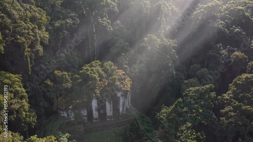 atmospheric aerial video of ancient ruins hidden deep within a dense forest
