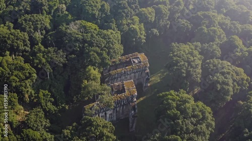 atmospheric aerial video of ancient ruins hidden deep within a dense forest