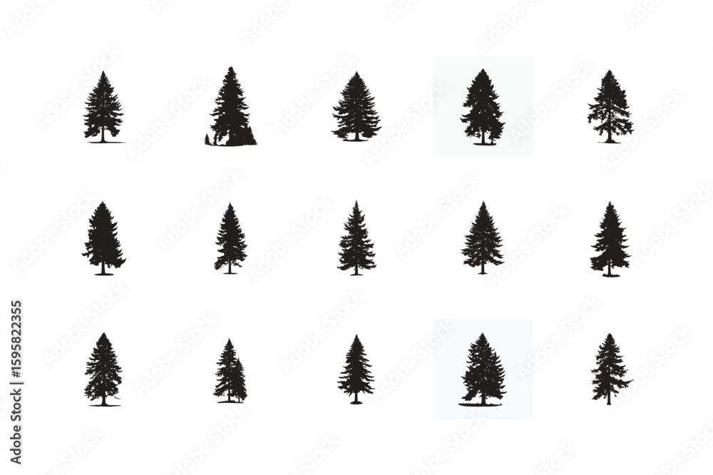 Fototapeta premium Collection of Douglas Fir Tree Silhouettes Isolated on White