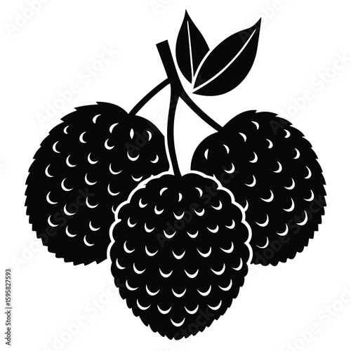 vector illustration of ripe berries