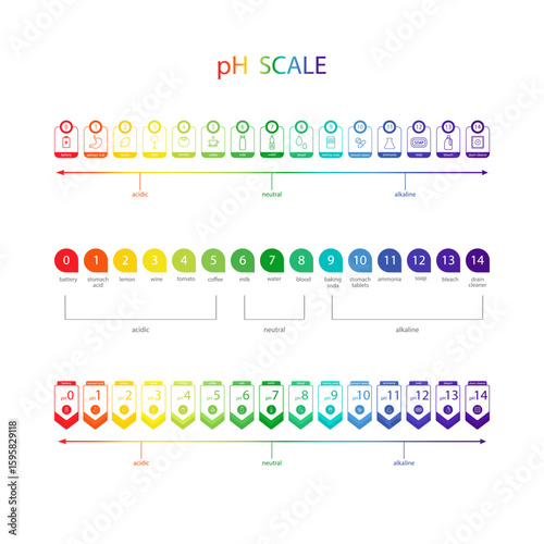 PH value Scale chart. Liquid level, litmus color change. Ph food analysis or chemical test. Set of Vector illustrations in flat style.
