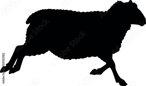 Black sheep silhouette running isolated on white