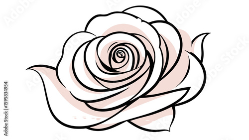Stylized Delicate Pink Rose Bloom with Bold Black Outline Artfully Rendered