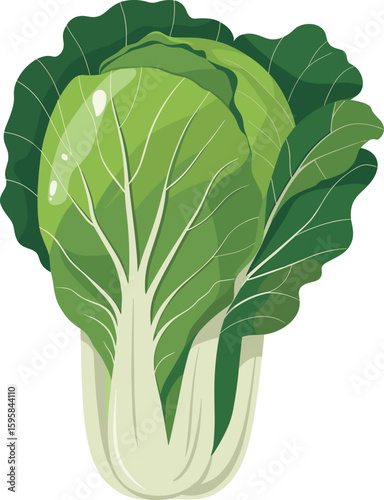 Fresh green bok choy vegetable isolated, healthy Asian leafy greens, organic nutrition, garden produce, raw cabbage, healthy food ingredient