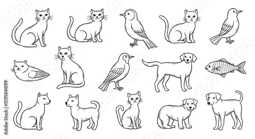 Collection of hand drawn animals including cats birds dogs and a fish in black and white sketch style