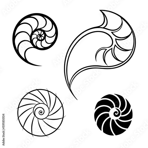 Black nautilus shell spiral designs white graphic