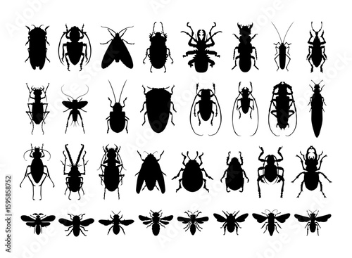 silhouettes collection of various insects and bugs species