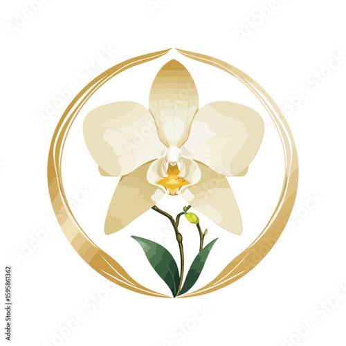 Whispers of Rarity — The Enchanted Orchid