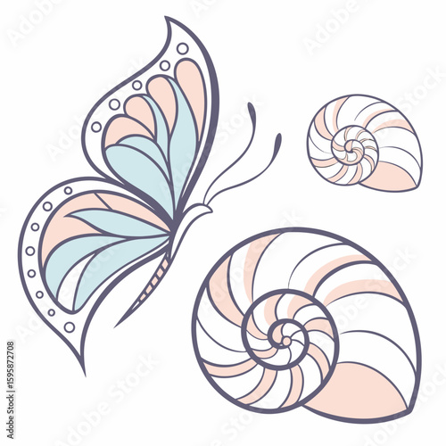 Butterfly and nautilus shells pastel spiral pastel colors
