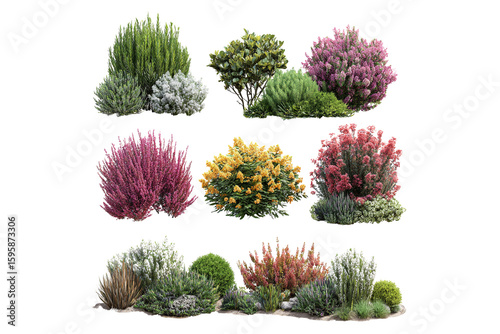 Collection of assorted garden shrubs isolated on transparent background