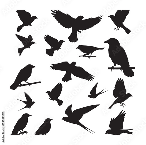 Flock of bird silhouettes vector set. Collection of flying and perched birds like dove, eagle, and swallow, isolated on a white background.
