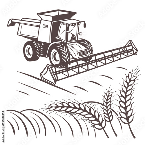 Tractor harvesting wheat in a field harvester agriculture
