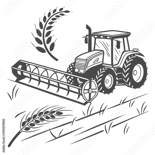 Tractor harvesting wheat in a field harvester agriculture