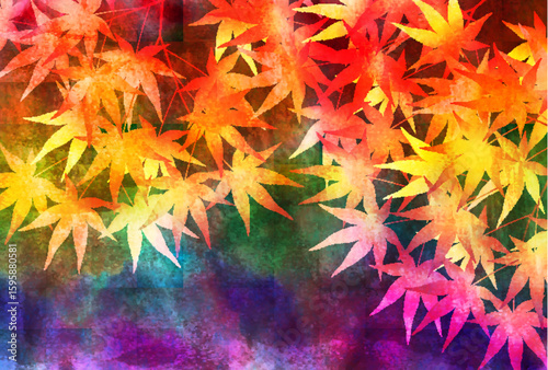 紅葉　もみじ　秋　背景