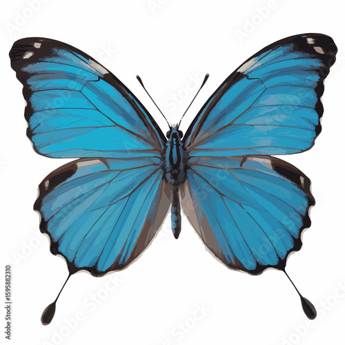 Beautiful blue butterfly illustration vector graphic design insect wings nature summer spring drawing 100