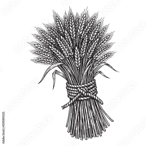 Rye bundle woodcut engraving vector illustration