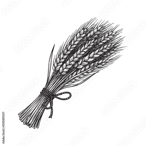 Rye bundle woodcut engraving vector illustration