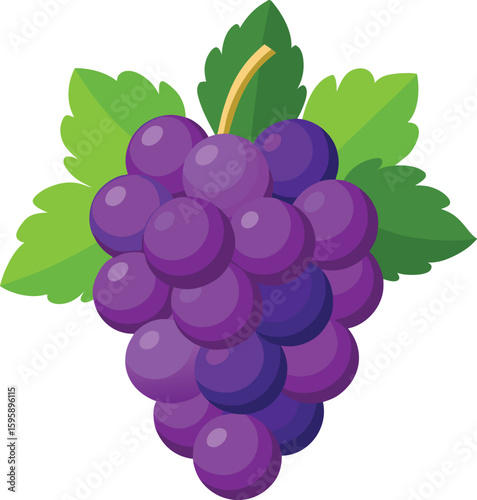 Bunch of purple grapes with green leaves and a yellow stem fruit