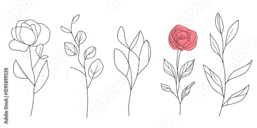 Minimalist continuous line art floral elements with red rose and delicate leaves isolated on white background vector illustration editable stroke design