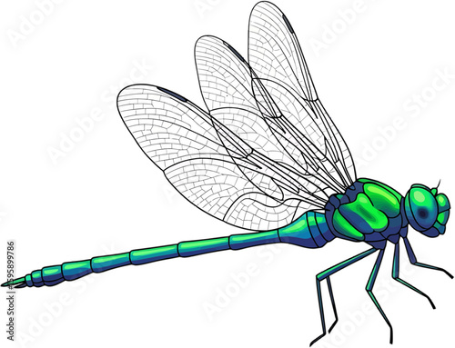Vibrant Illustration of a Blue-Green Dragonfly With Intricate Wing Details