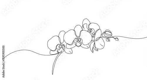Elegant minimalist line art showcasing delicate orchid blossoms in continuous style