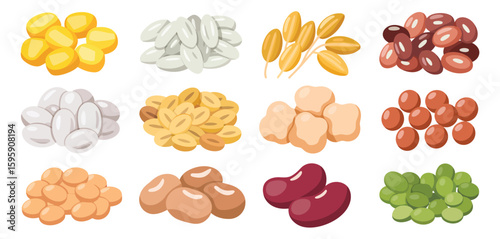 Assortment of colorful beans and legumes in a grid pattern