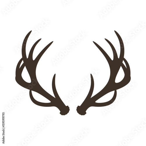 Pair of dark brown deer antlers isolated on a white background