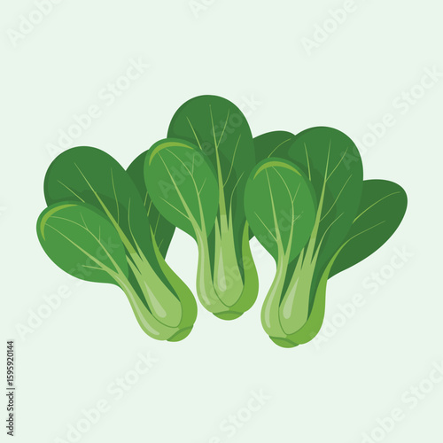 Fresh green bok choy vegetable isolated on light green background