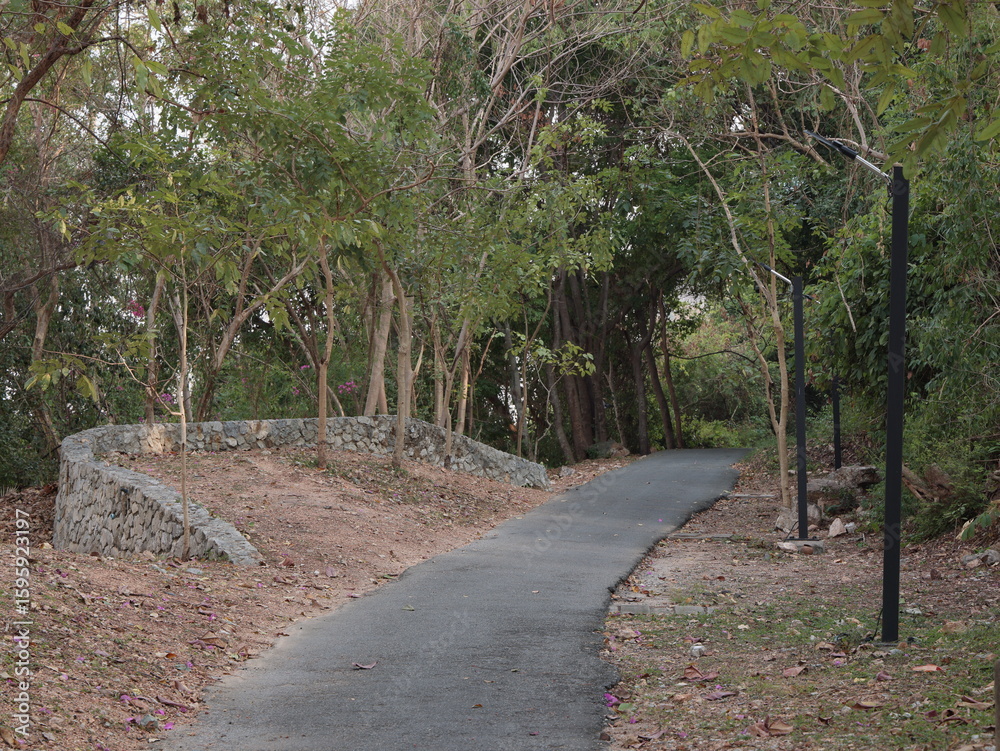 Fototapeta premium A Serene Pathway That is Beautifully Surrounded by Abundant Lush Greenery and Nature