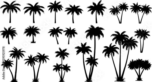 palm or coconut trees vector illustration set on white background. (eps). nature, relaxation, peace, luxury, elegance concept.

