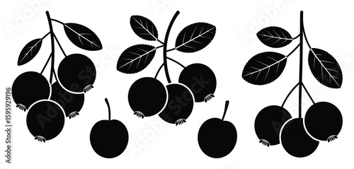 Black silhouette of berries on branches with leaves
