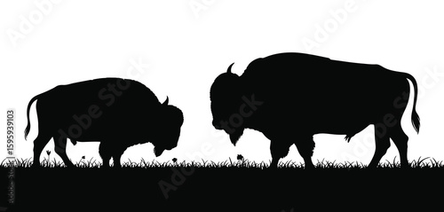 Two bison silhouettes facing each other on a grassy field