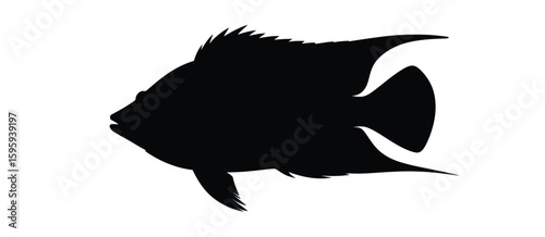 Silhouette of a tropical angelfish swimming on a white background