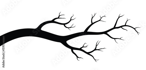 Silhouette of a bare tree branch against a white background